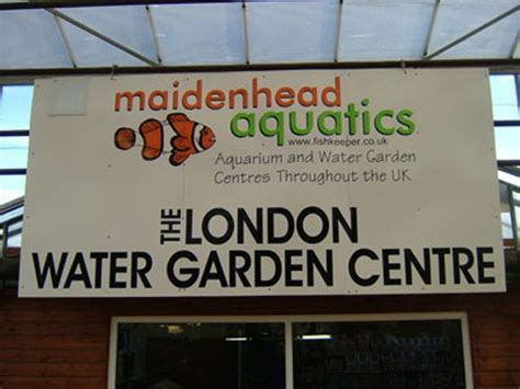 Maidenhead Aquatics Wembley
